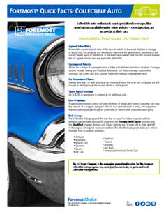 Collective Auto Sales Sheet