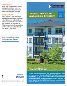 Landlord and Vacant Condominium Brochure