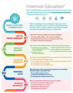 Foremost Education Infographic